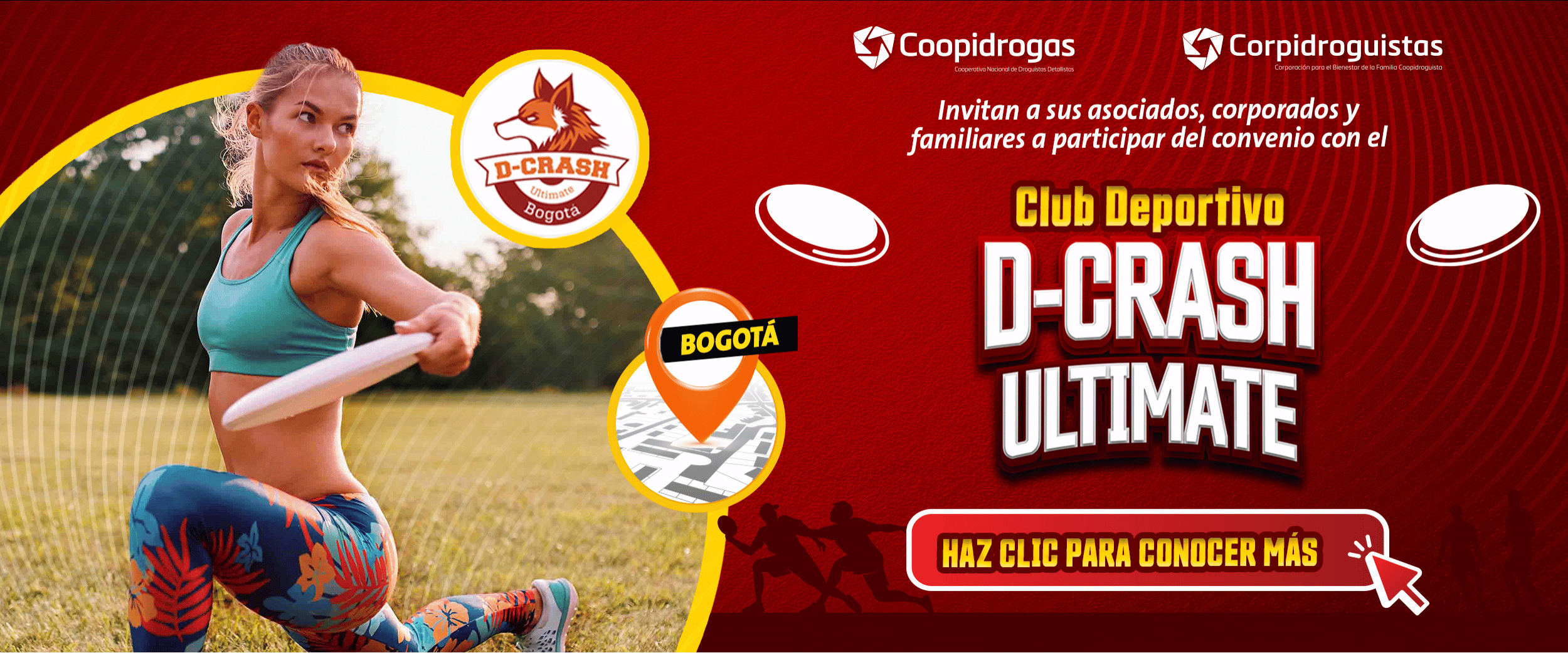 D-Crash Ultimate Club